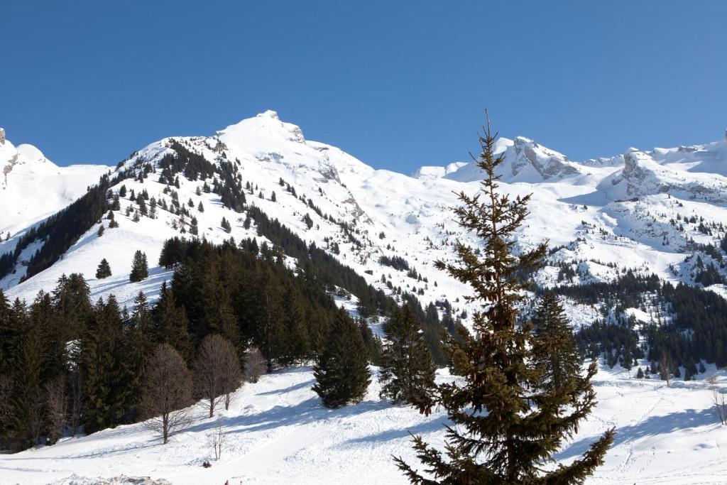 Azureva Les Aravis