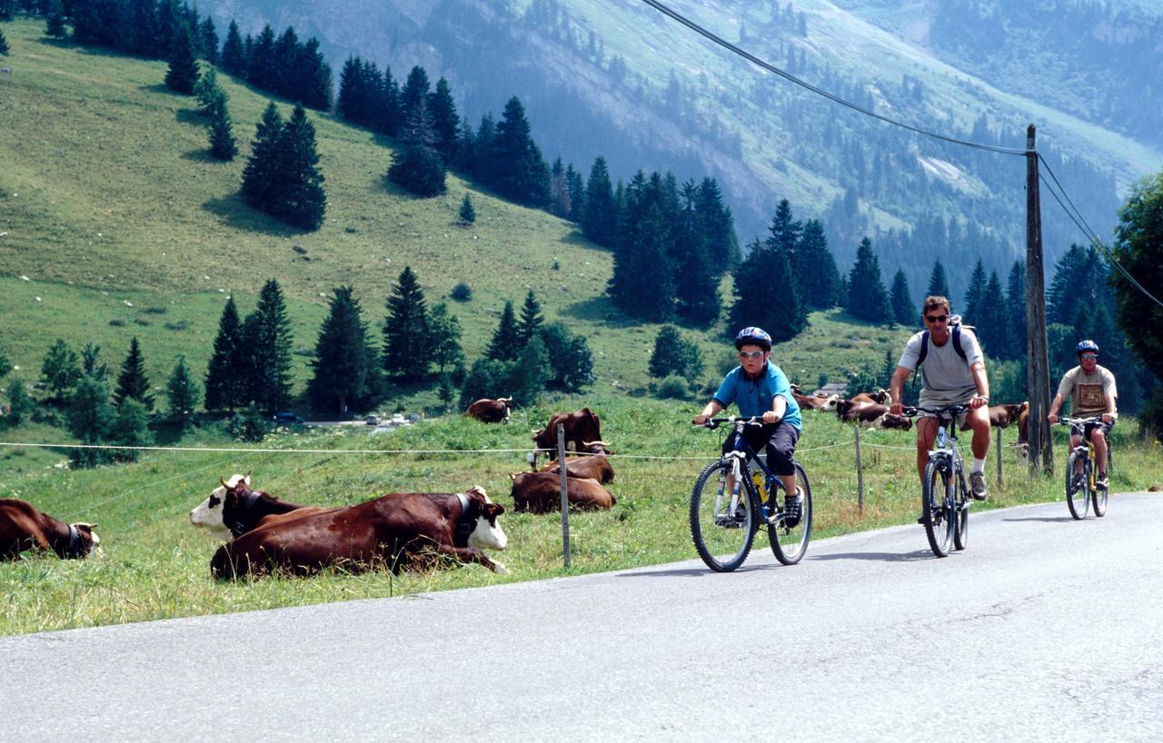 Azureva Les Aravis 2* La Clusaz